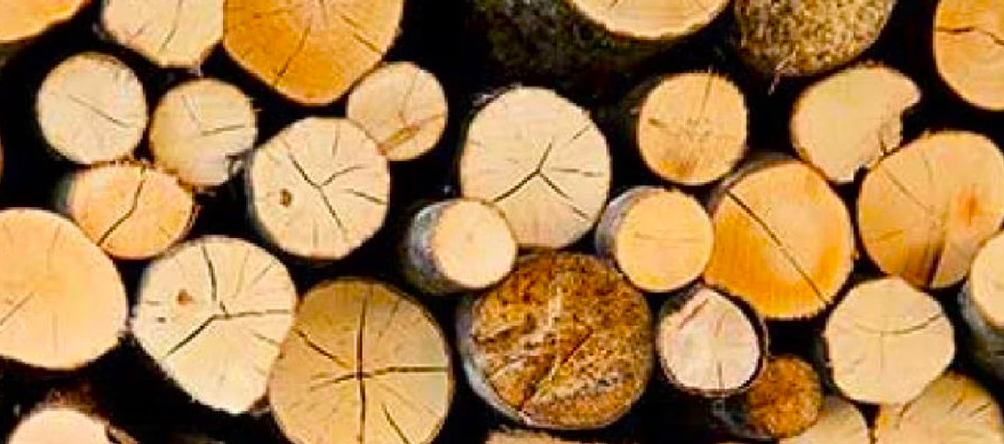 The typical U.S. household is spending $445 more a month due to inflation